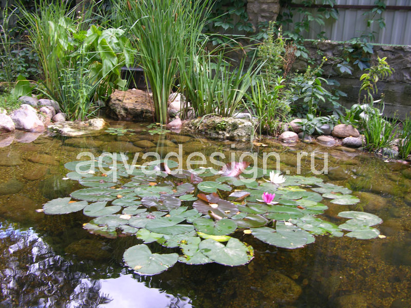 Декоративный пруд