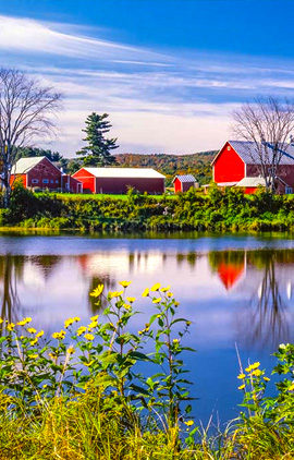 Безопасность